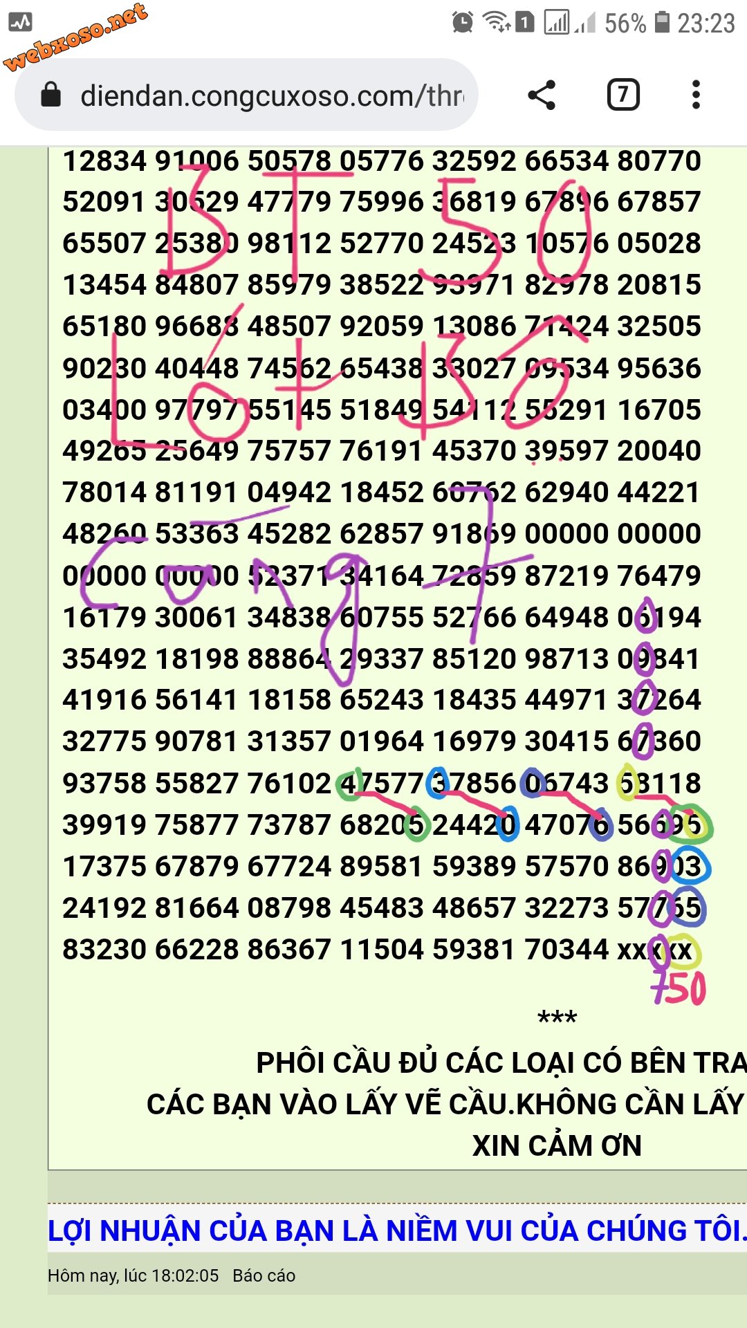 20230401_232931.jpg