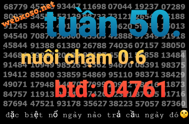 20231211_172610.png