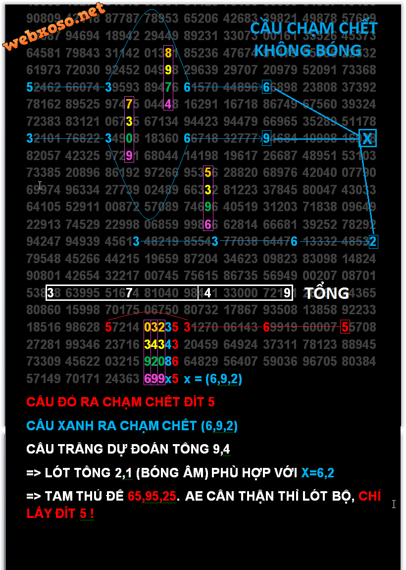 CAU 5 CANG 3.png