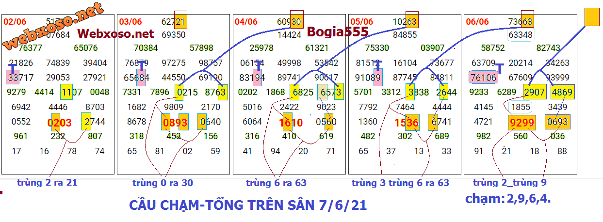 cau san-7.png