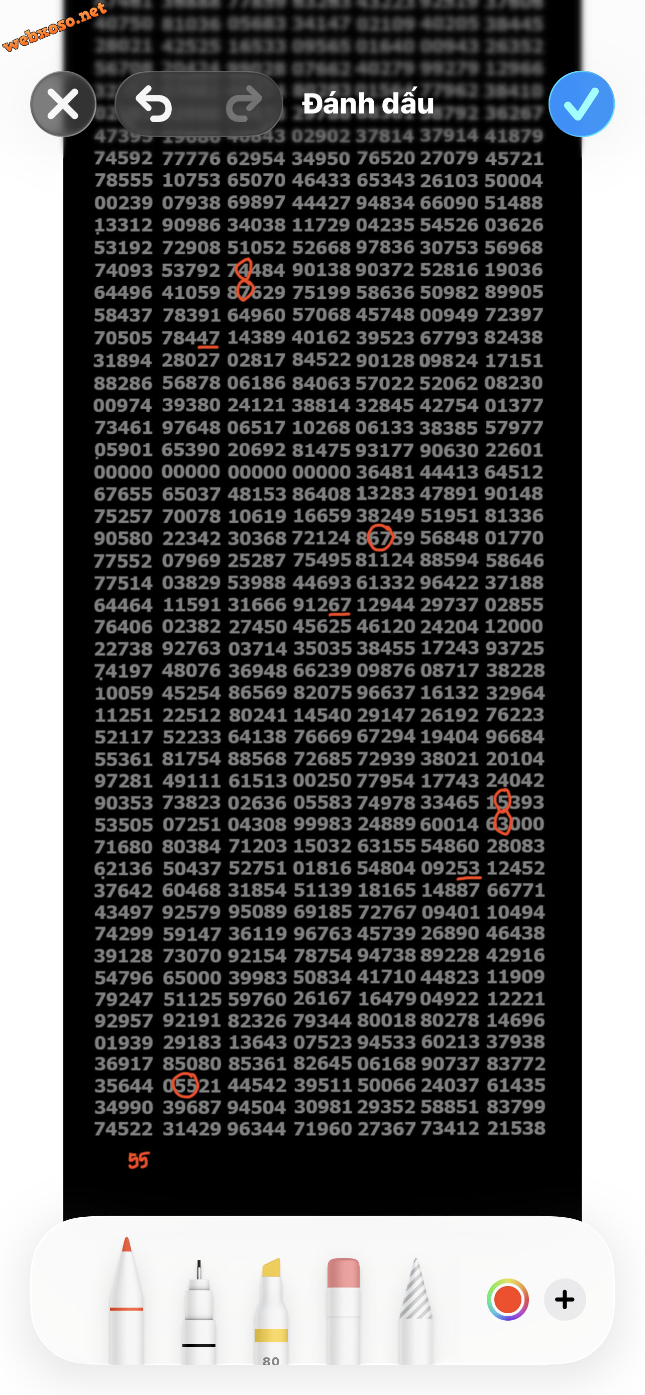 IMG_6004.png