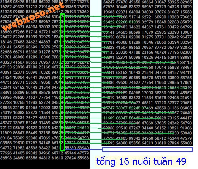 nuôi tuần 49-tổng 16.jpg