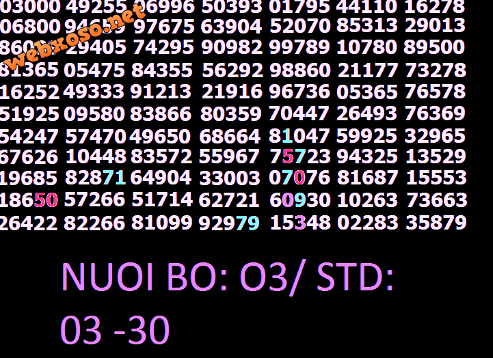 XO SO.png
